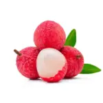 VietNamese Specialty Fresh Litchi Plump Fruit